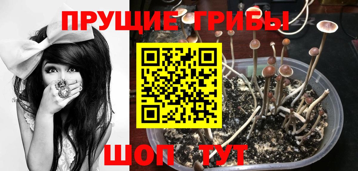 Уварово  Псилоцибиновые грибы MAGIC MUSHROOMS  Вход с VPN 